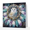 (Pre-Framed)Owl Dreamcatcher-Special Shape Diamond Painting Kit(25x25cm)