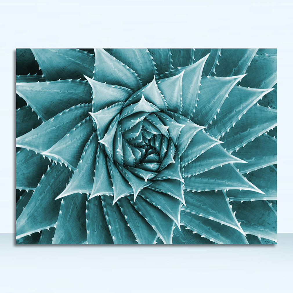 Poster Green Aloe Succulent Plants modern minimalist Modular Pictures Canvas Painting living room cuadros decoracion Nordic