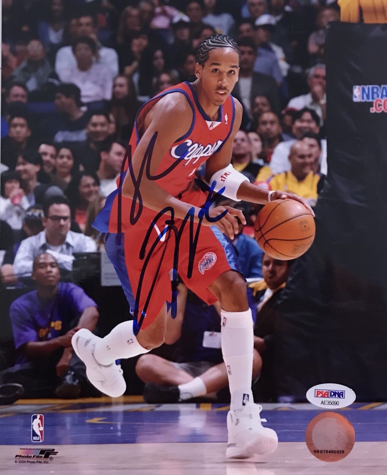 Shaun Livingston Signed Autographed Golden State Warriors 8x10 Photo Poster painting Psa/Dna