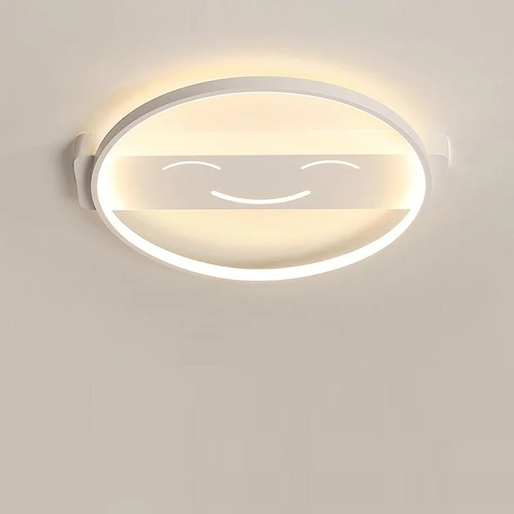Circle Shaped Flush Mount Ceiling Light Face Metal Light 1 Light - Appledas