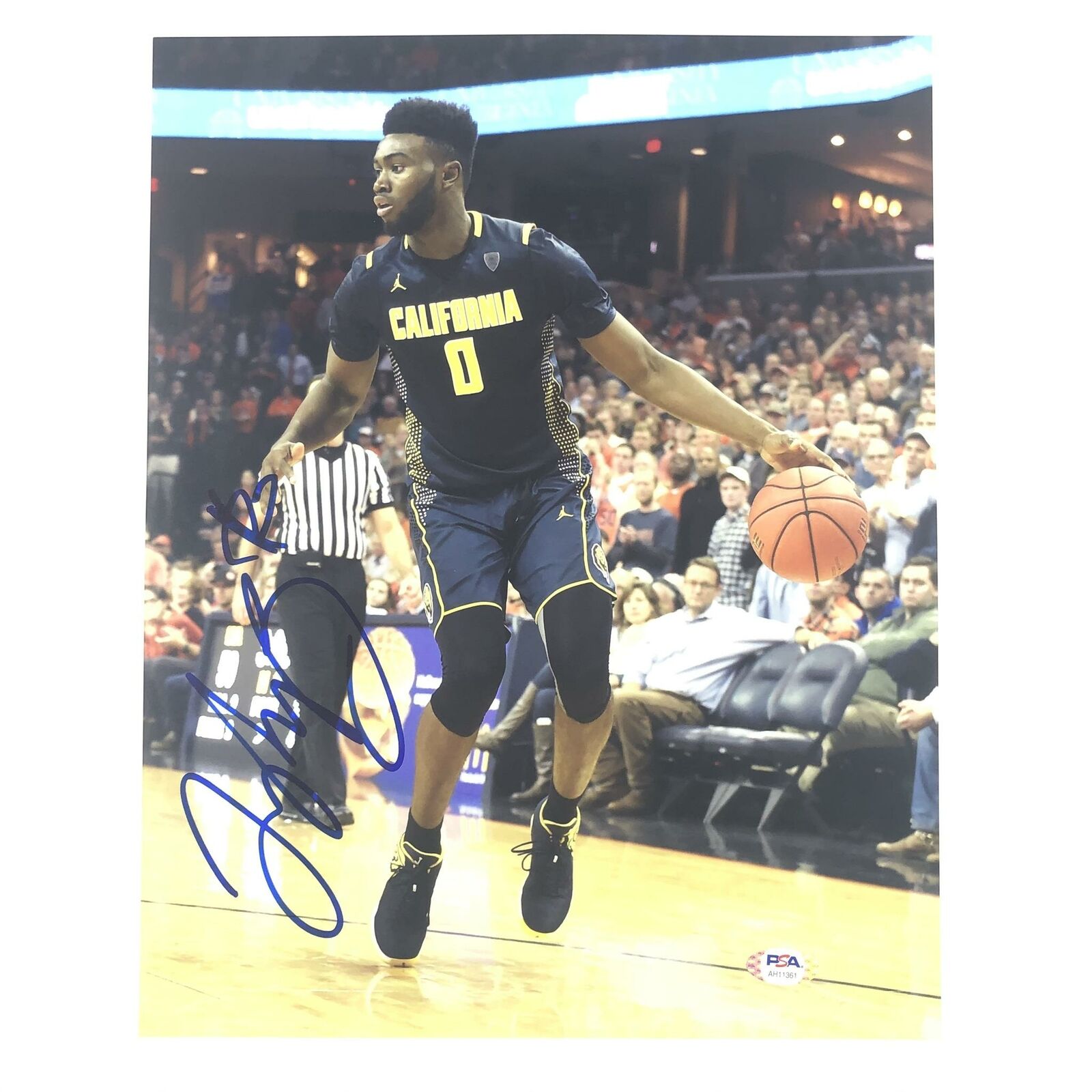 Jaylen Brown signed 11x14 Photo Poster painting PSA/DNA Cal Bears Autographed Celtics