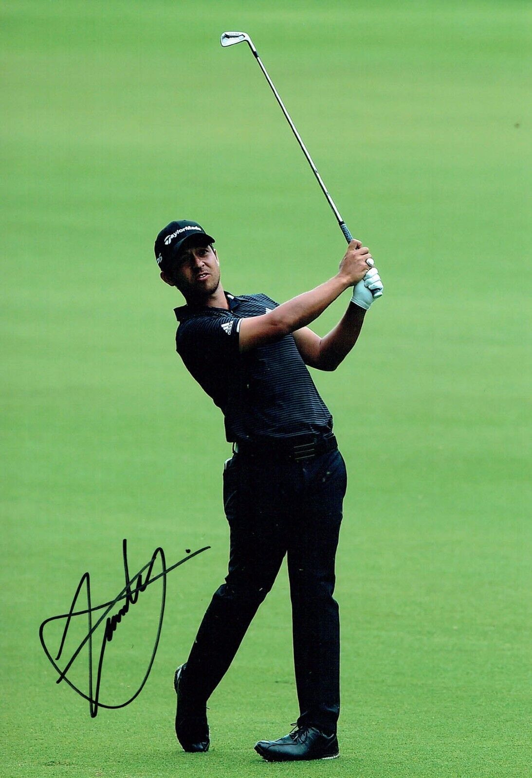 Xander SCHAUFFELE SIGNED 12x8 Golf Photo Poster painting 6 AFTAL Autograph COA PGA Tour Winner