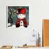 Diamond Painting -DIY Full Square Drill Red Hat(50x50cm)