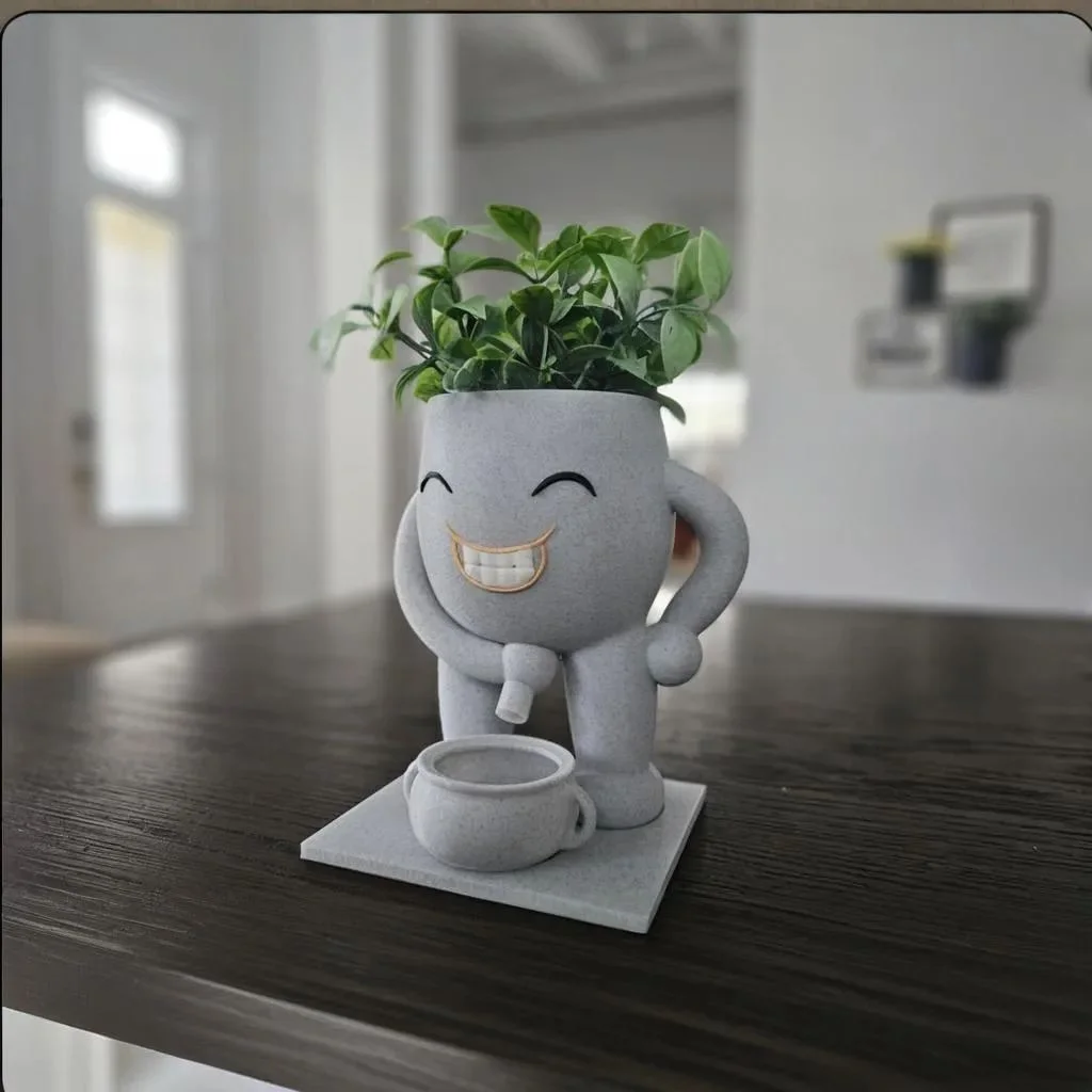 Funny Succulent Pot