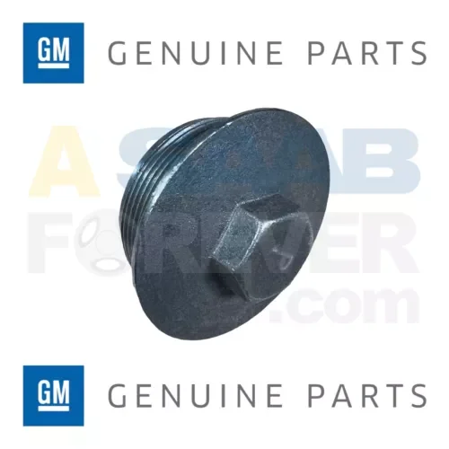 Dronehint DIFFERENTIAL CARRIER FILL PLUG FRONT GENERAL MOTORS NEW GENUINE GM OEM 12471620 (For: GMC) Parts