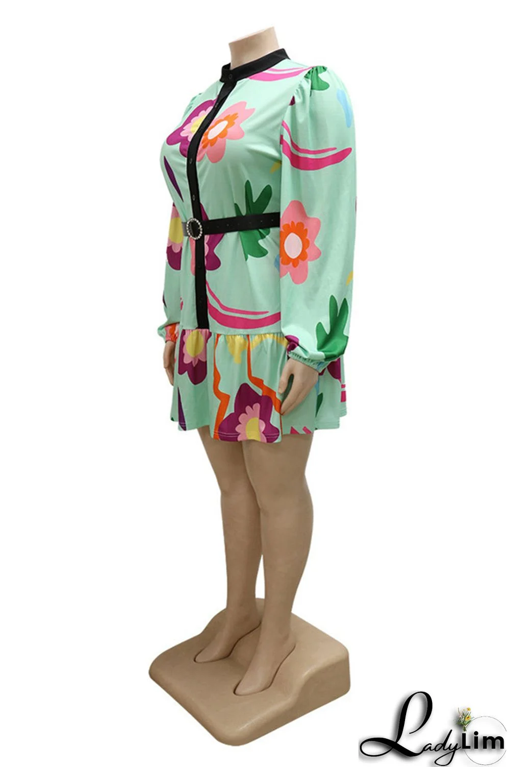 Green Fashion Casual Print Patchwork With Belt O Neck Long Sleeve Plus Size Dresses