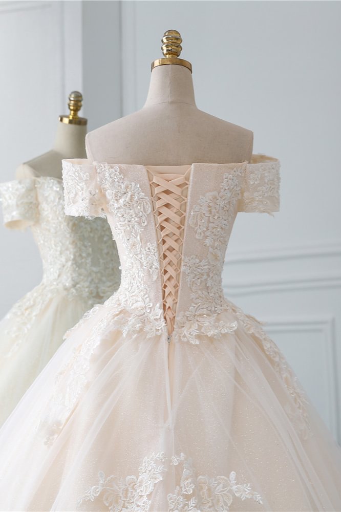 Elegant Long Cap Sleeves Princess Tulle Lace Wedding Dress