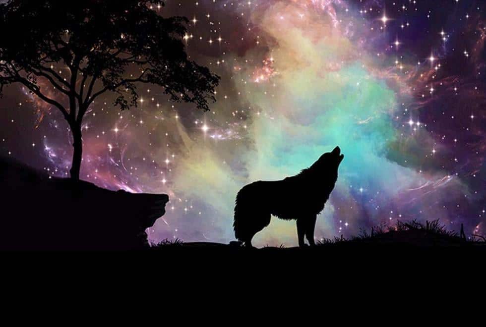 

Wolf With Northern Lights – Paint By Numbers - 40*50CM, 501 Original