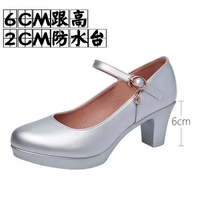 Breakj Breakj Head Buckle Waterproof Table 8CM High Heel Women's Shoes Thick-Soled Model Show Shoes Coarse Heel Work Shoes Silver Single Shoes