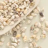 Natural Sea Shell Beads Pendants DIY Fashion Accessories