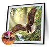 Diamond Painting-DIY Full Round Drill Eagle(30*30CM)
