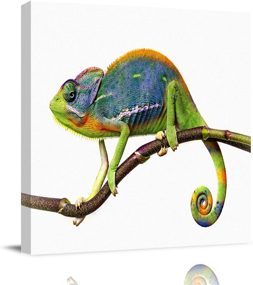 Canvas Wall Art for Living Room Cool Chameleon Picture Framed Wall Decor Picture Painting Prints for Holiday Bedroom Bathroom Framhouse Office Kitchen Home Decoration, 24 inch x24 inch  24 x 24 in