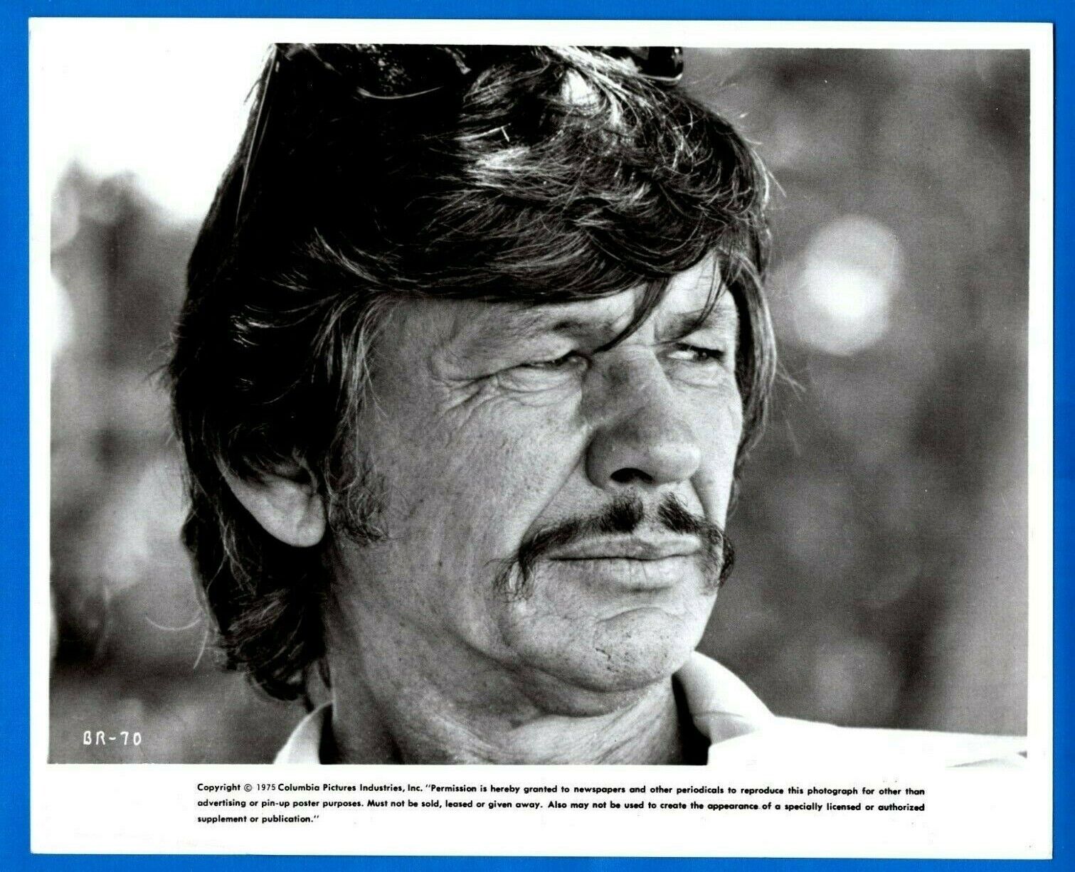 CHARLES BRONSON Actor Movie Star Vintage 8x10 Promo Press News Photo Poster painting 1975