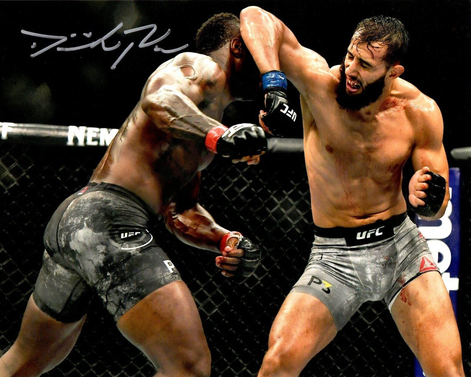 Dominick Reyes autographed signed 8x10 Photo Poster painting UFC The Devastator PSA COA