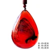 Insect Amber Pendant Natural Butterfly Specimen Insect Amber Necklace Children's Hanging Accessories