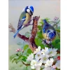 Bird  | Full Round Diamond Painting Kits