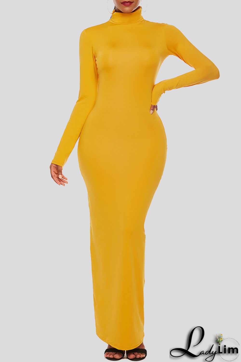 Black Fashion Casual Solid Basic Turtleneck Long Sleeve Dresses