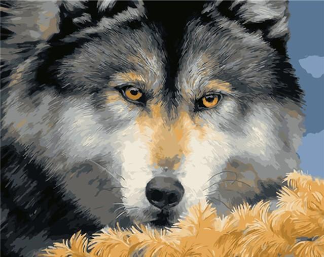 

Scary Fierce Wolf Eyes – Paint By Numbers - 40*50CM, 501 Original