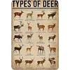 (Multi Style)Animals - Metal Tin Signs(8*12Inch/12*16Inch)