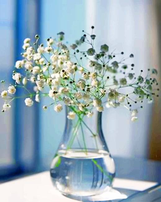 

Baby’s Breath Glass Vase – Paint By Numbers - 40*50CM, 501 Original