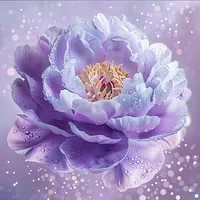 Purple Peony - Diamond Painting