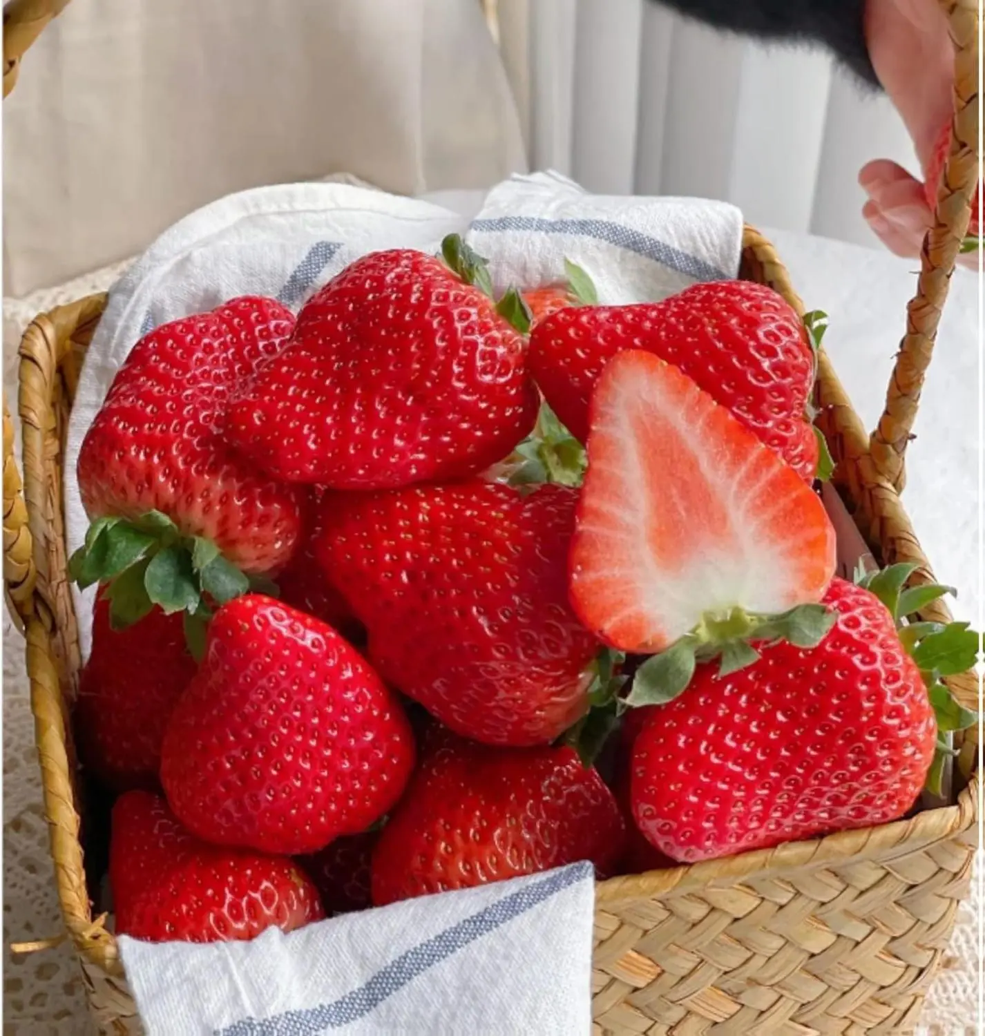 200 Cream Strawberry Seeds - Hardy Perennial Herb, Fall & Spring Planting, Vibrant Multi-Color Harvest