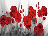 Poppy -11CT Stamped Cross Stitch Kit(80*40cm)
