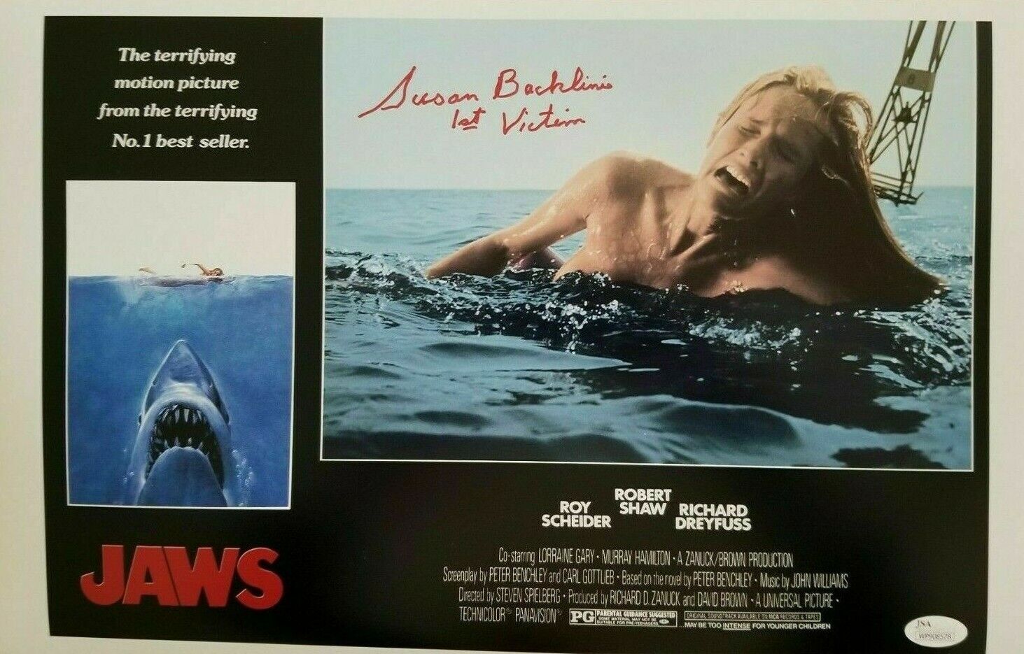 SUSAN BACKLINIE Signed JAWS 11x17 Photo Poster painting - JSA COA No. WP 908576