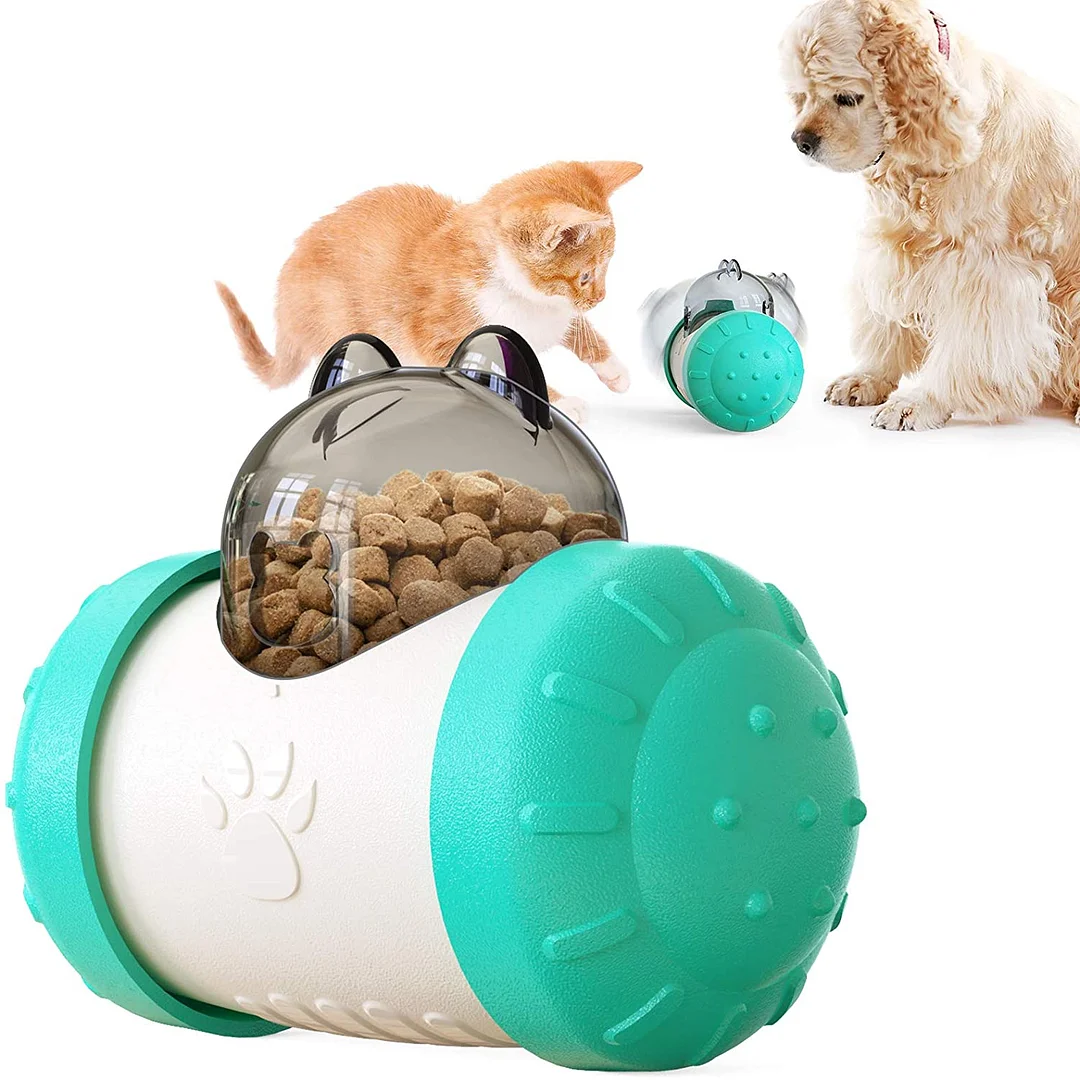 Pet Slow Feeder Interactive Toy