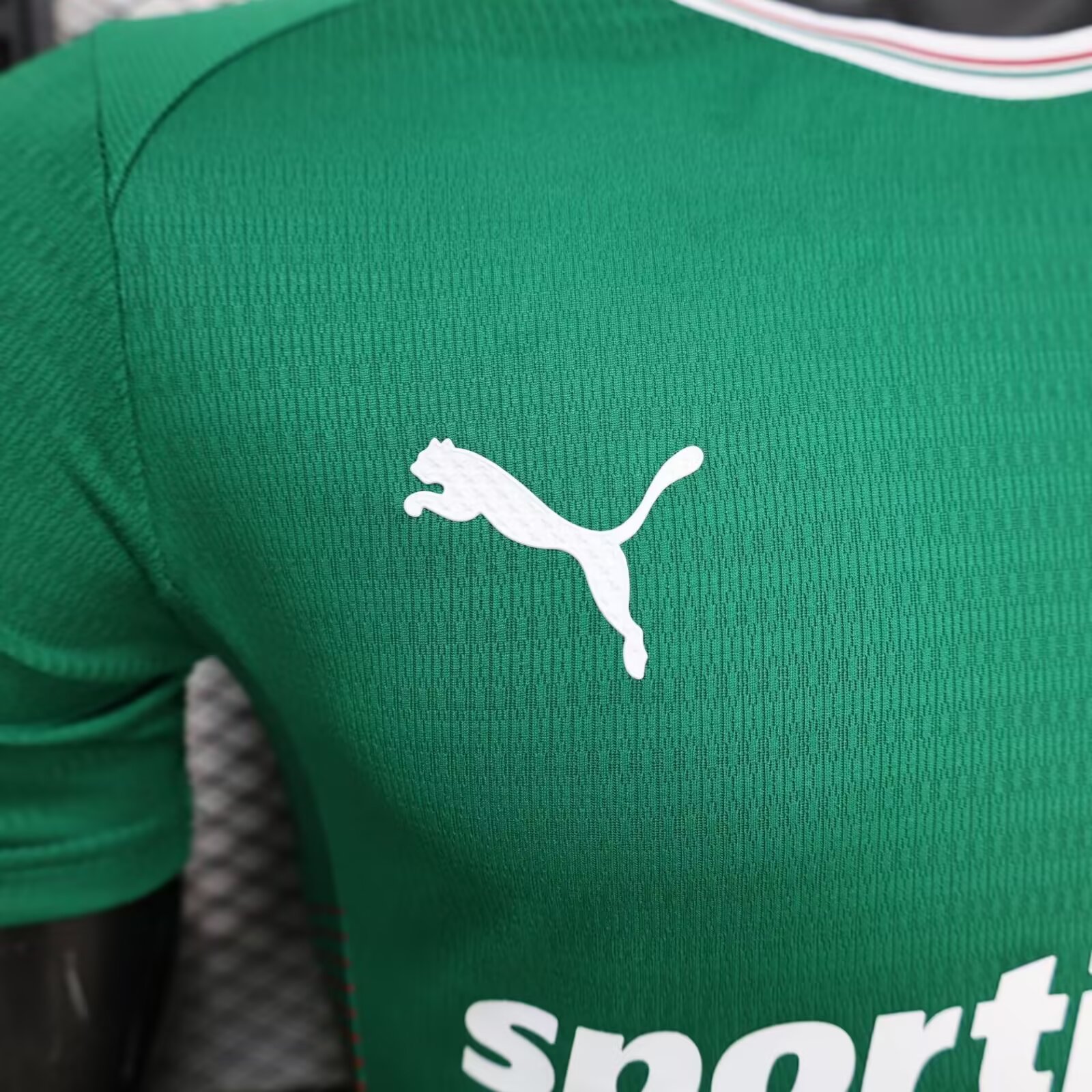 25/26 Palmeiras Home Player Version Thai version football shirt