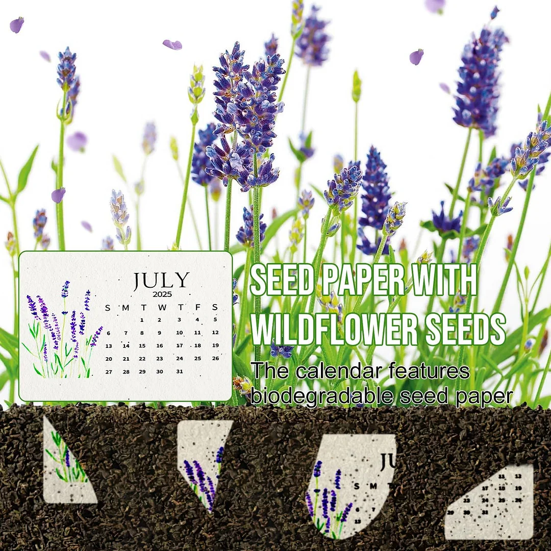 🌱2025 Eco-Friendly Plantable Seed Calendar🗓️