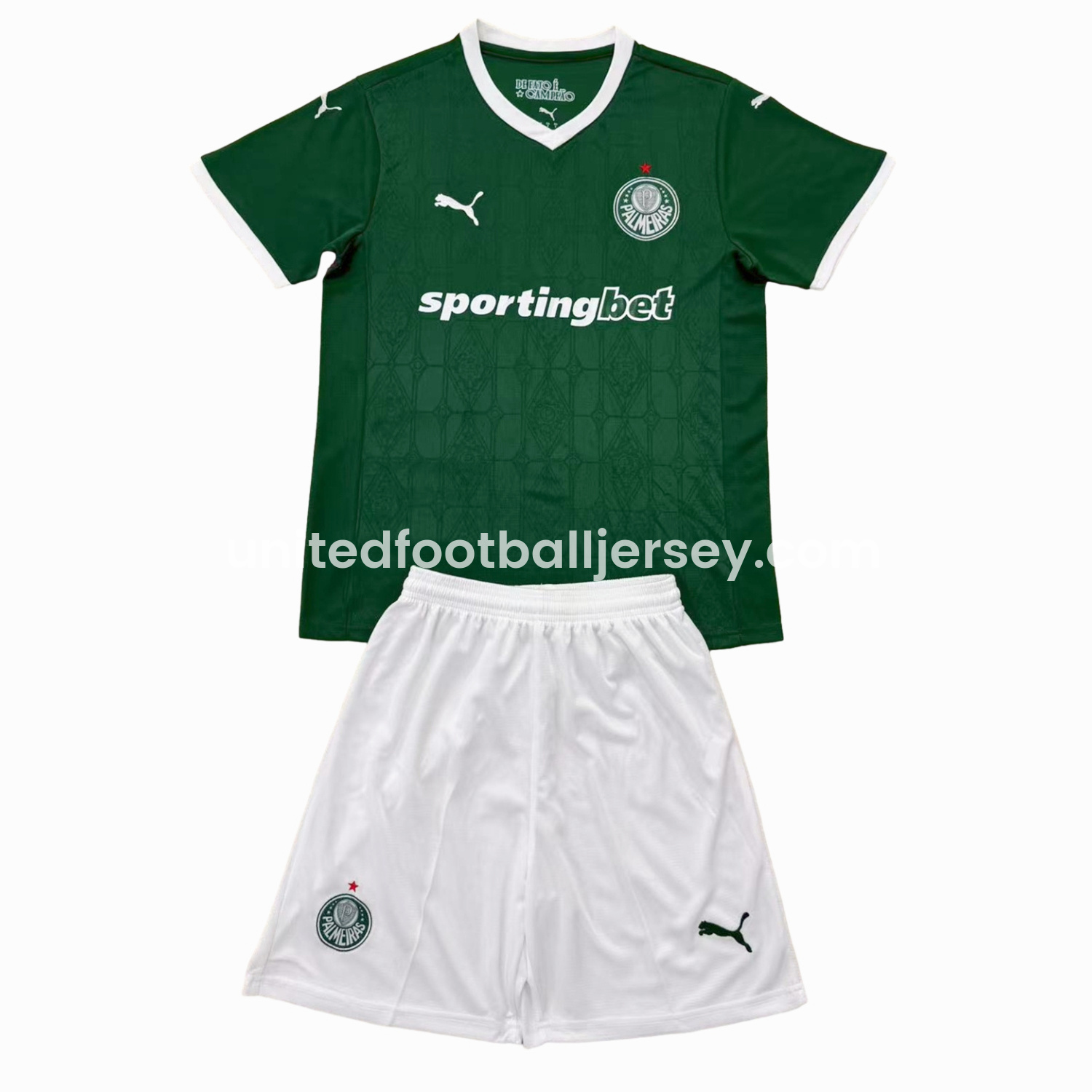 Palmeiras 25-26 Home Men's Adult Jersey Set - Fans Version