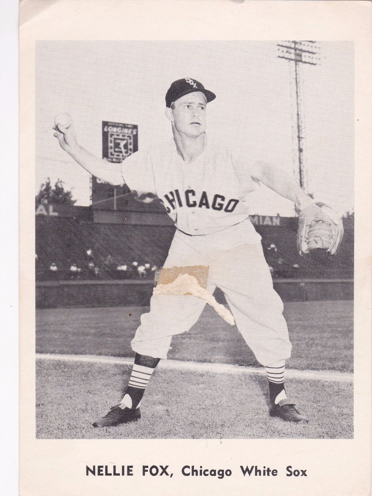 Chicago White Sox 1960's Team Issued 5 x 7