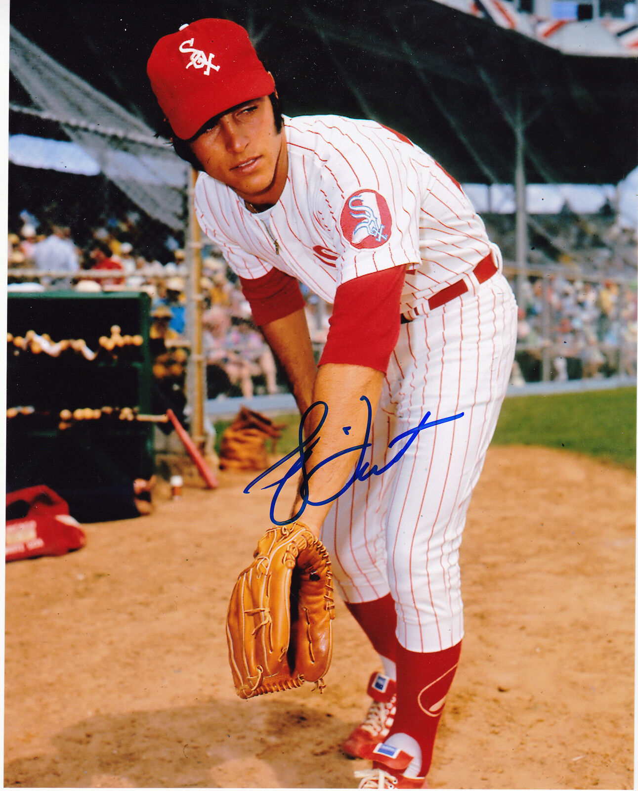 BUCKY DENT CHICAGO WHITE SOX ACTION SIGNED 8x10