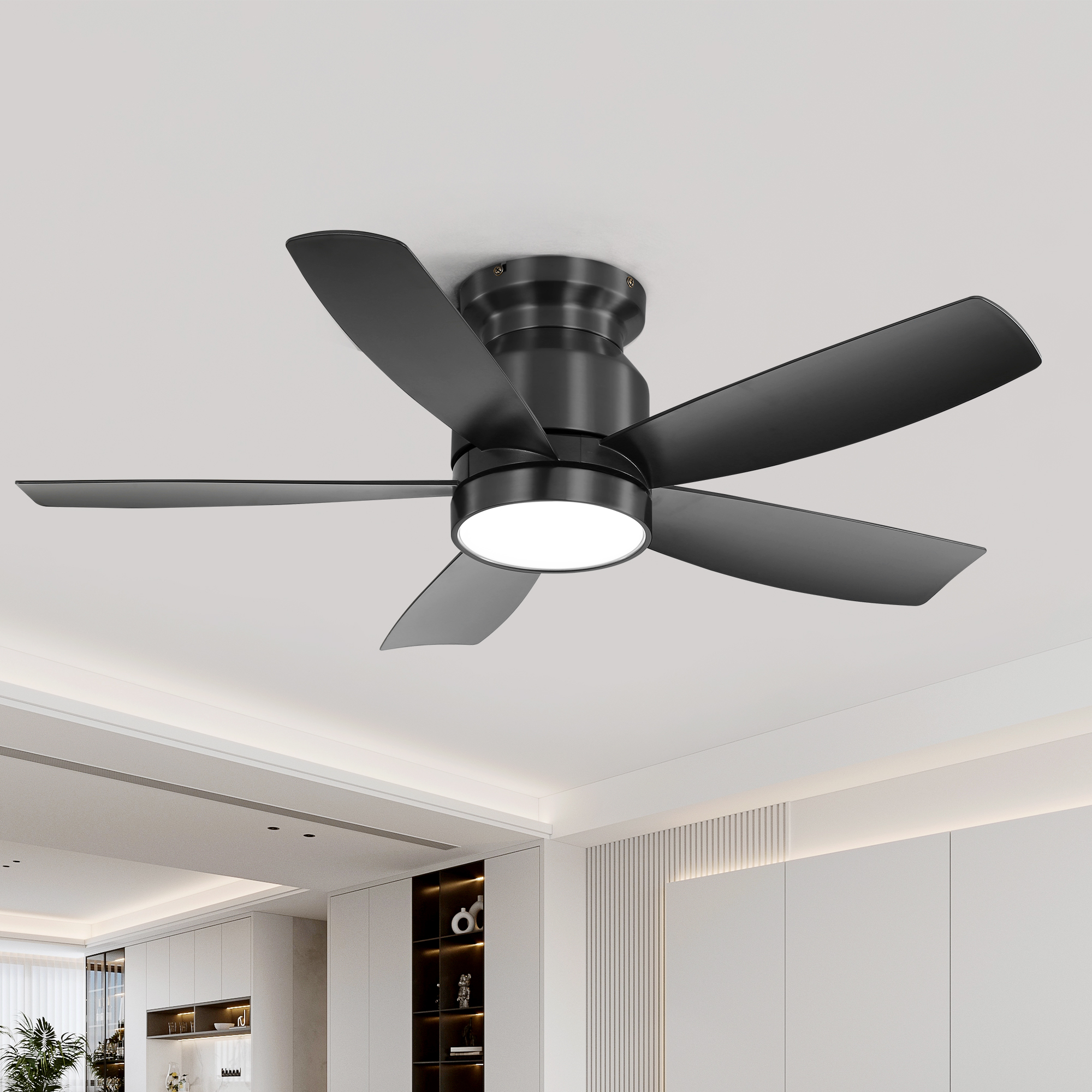 All Ceiling Fan