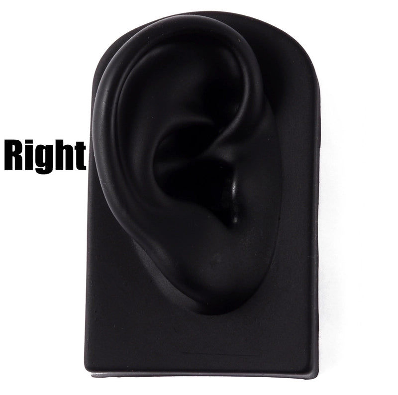 2 Pieces Fashion Rectangle Arylic Silica Gel Simulation Ear Model