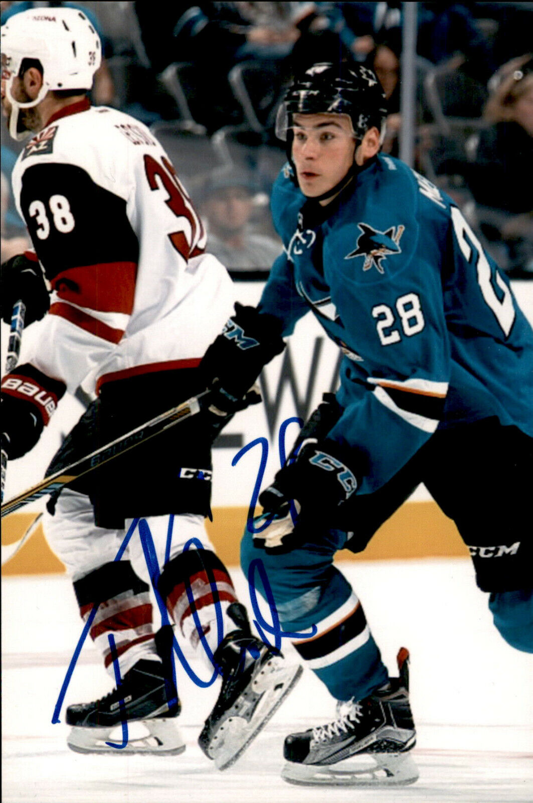 Timo Meier SIGNED autographed 4x6 Photo Poster painting SAN JOSE SHARKS #2