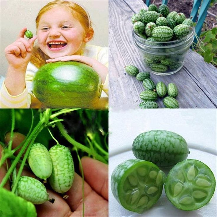 This may contain: there are four pictures with green vegetables in them