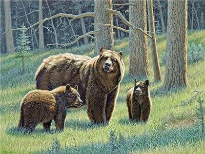 

Family Black Bears – Paint By Numbers - 40*50CM, 501 Original