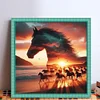 Silhouette - Horse-11CT Stamped Cross Stitch 40*40cm/15.75*15.75in