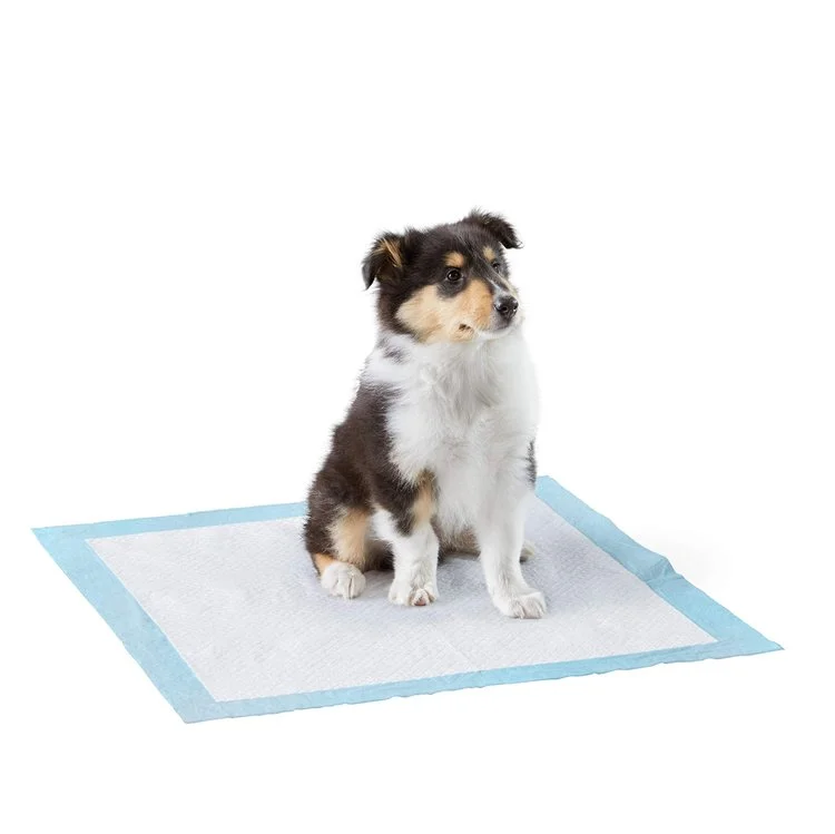 20/40/50/100Pcs Absorbent Dog Pee Pad Toilet Training Mat Disposable Diapers