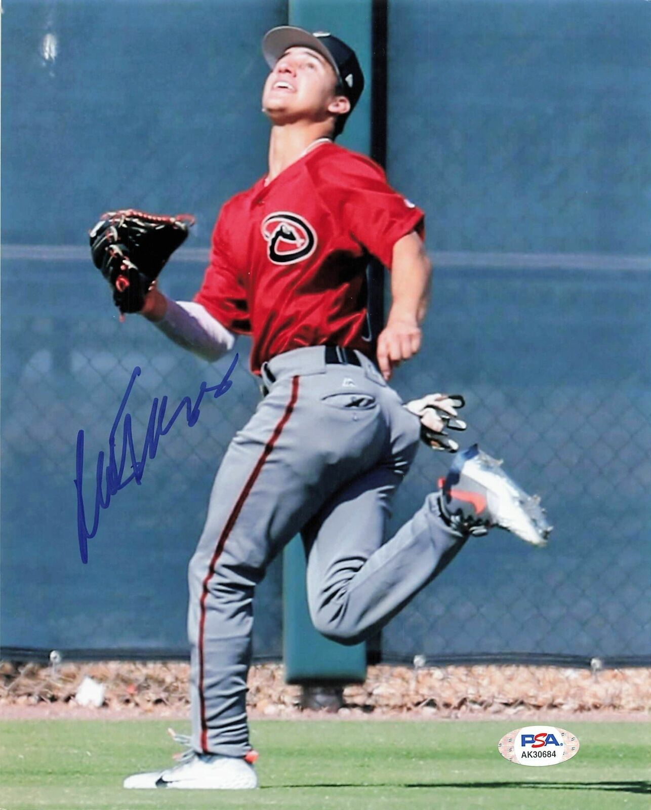 ALEK THOMAS Signed 8x10 Photo Poster painting PSA/DNA Arizona Diamondbacks Autographed