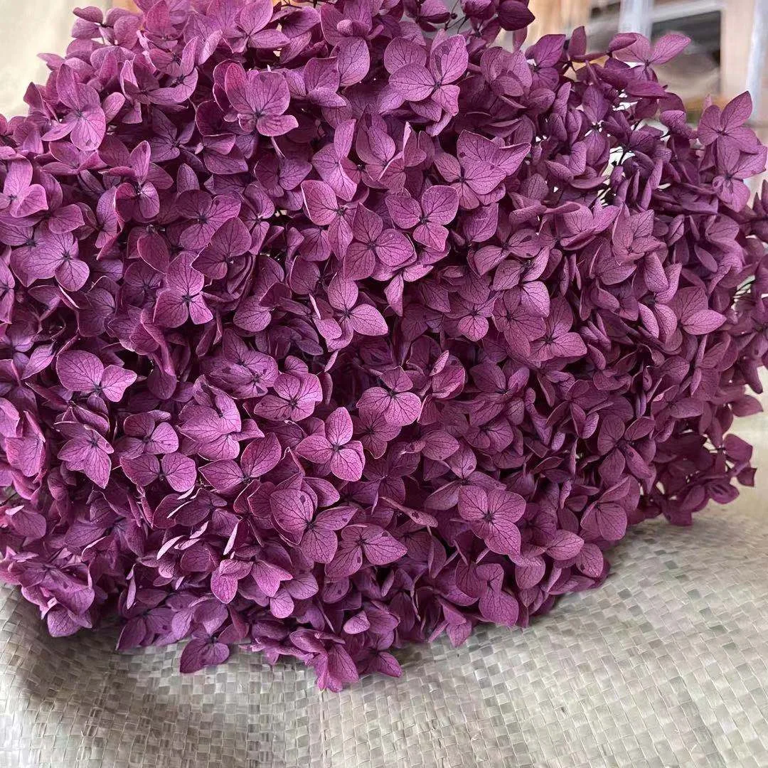 Christmas Gift 4-4.5g/Lot Natural Fresh Preserved Flowers Dried Small Leaves Hydrangea Flower Heads For DIY Real Eternal Life Flowers Material