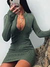 Solid Color Bodycon Long Sleeves Mini Dress