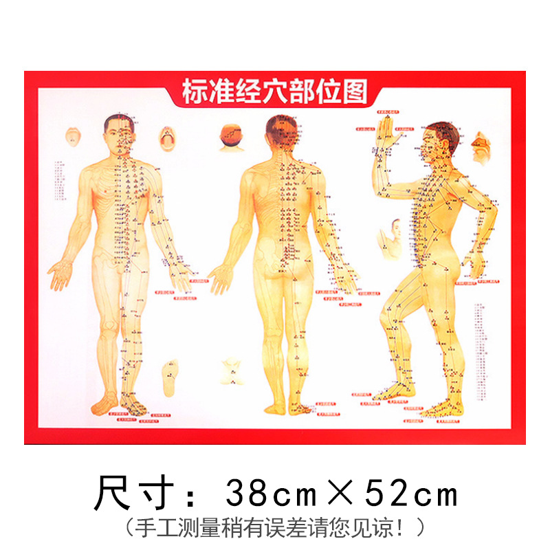 人体经络穴位图 艾灸书说明图按穴位图艾灸图针灸图