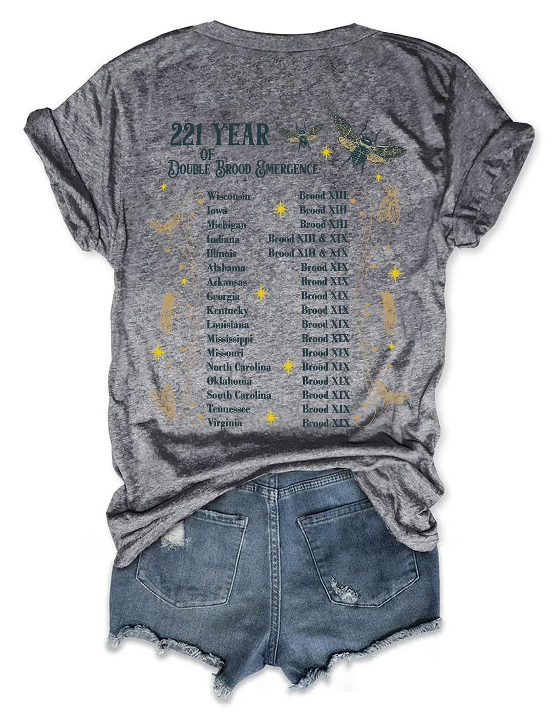 The Cicadas Reunion Tour Summer 2024 T-shirt