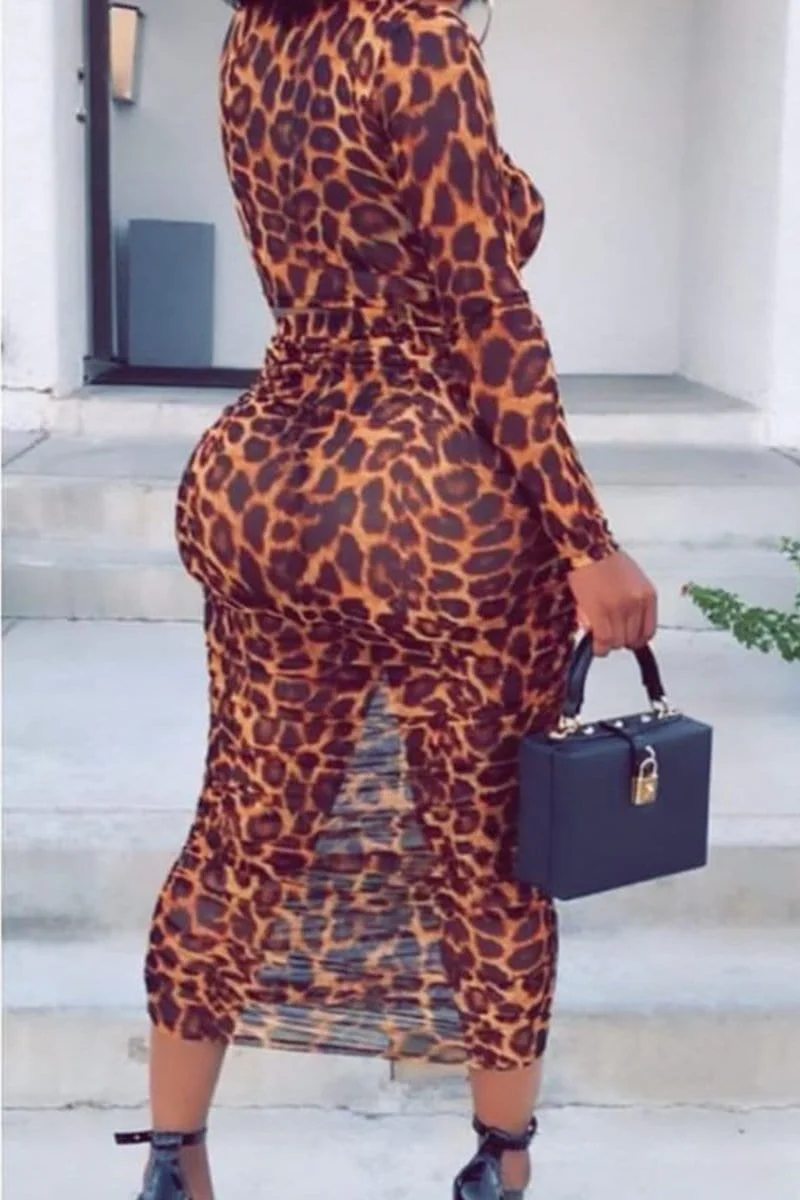 Sexy Mesh Perspective Leopard Two-Pieces