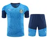 2024/2025 Palmeiras pre-match training Sky Blue Shirt+Shorts 1:1 Thai Quality