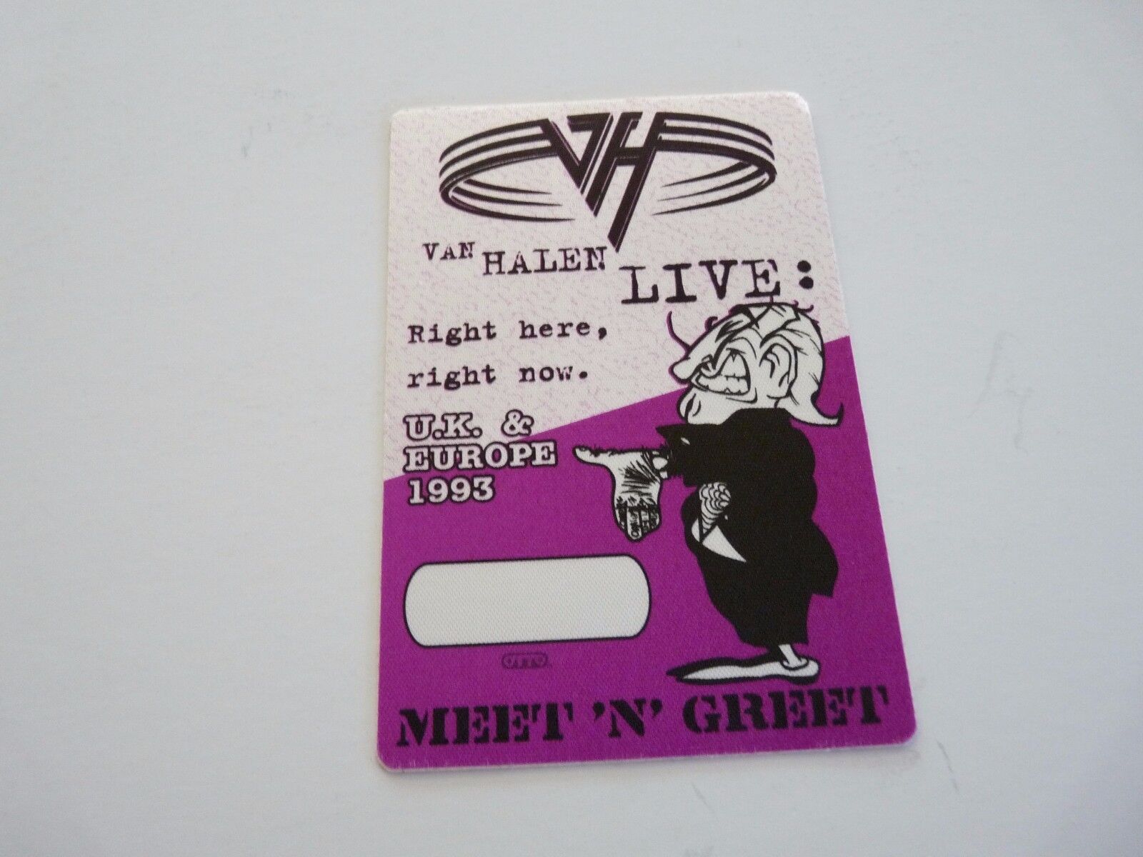 Van Halen Right Here Right Now UK & Europe 1993 Backstage Concert Pass Photo Poster painting