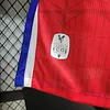 2023/2024 Player Version Crystal Palace Home Football Shirt 1:1 Thai Quality